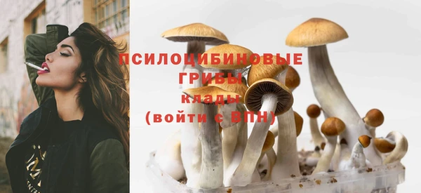 амфетамин Заводоуковск