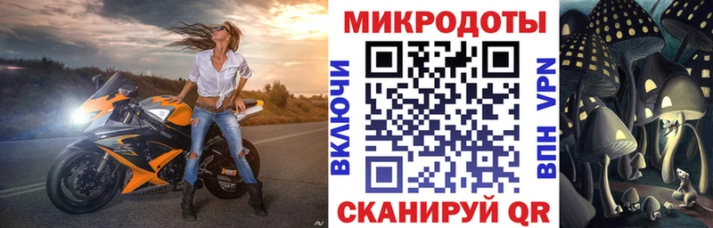 Галлюциногенные грибы Psilocybe  Купить закладки  Тейково 